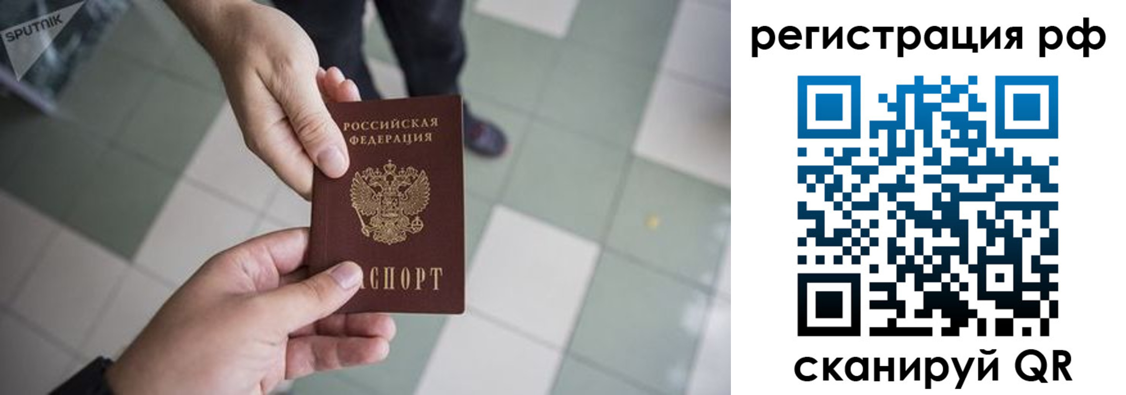 прописка гарантия в Немане